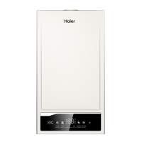 Газовый котёл Haier EliteLine 1.24 TW