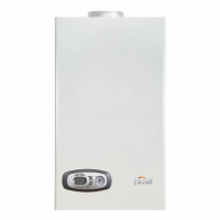Газовый котел Ferroli Vitatech D F24